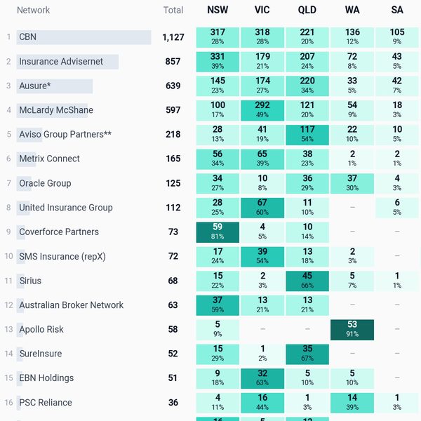 Top 20 networks by state heatmap preview — network names with counts and shares shaded by state